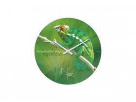 Часы настенные Nicole Time NT503 в Пеледуе - peleduj.mebel-nsk.ru | фото